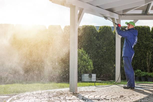 Best House Exterior Washing  in Lanse, MI
